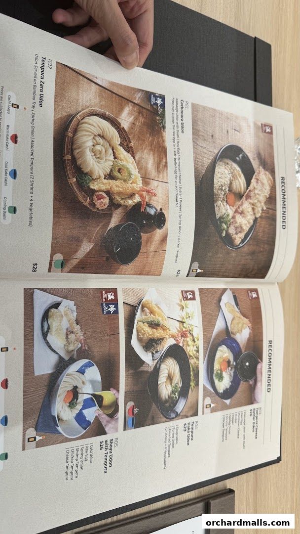 A menu showcasing various udon dishes with appetizing food photography.