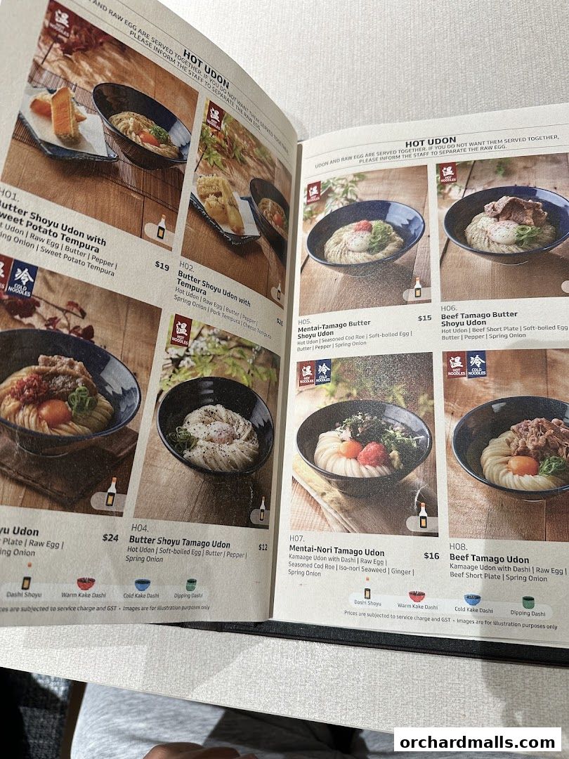 A menu page showcasing various hot udon dishes with descriptions and prices.