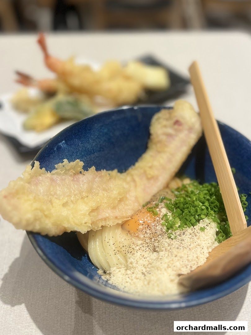 A close-up of a delicious udon noodle dish with tempura and egg.