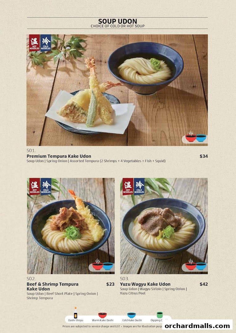 A menu page showcasing three different udon noodle soup dishes with descriptions and prices.