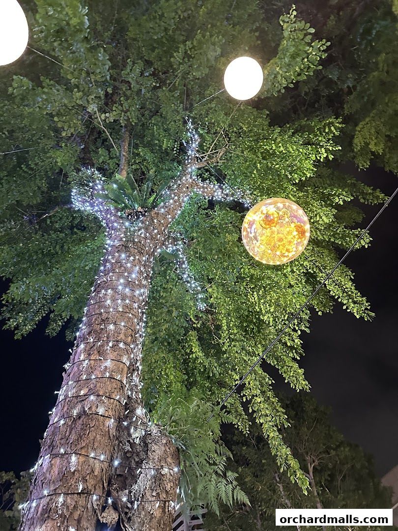 A tree trunk wrapped in fairy lights with decorative spherical lanterns hanging.