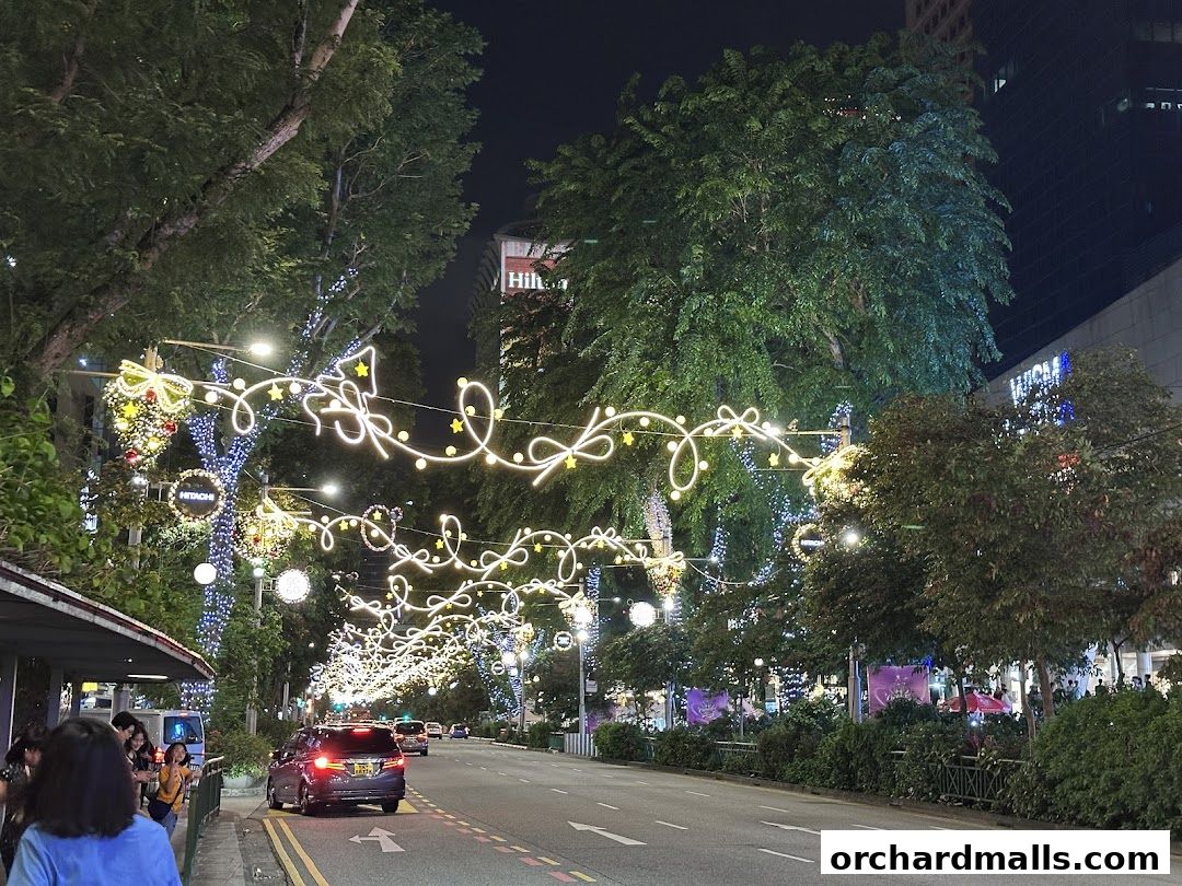 Street decorated with festive lights and trees at night, with cars and pedestrians.