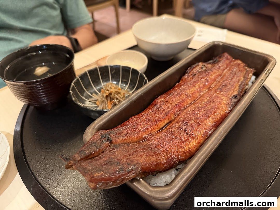 Unagi Yondaime Kikukawa Singapore うなぎ四代目菊川 シンガポール