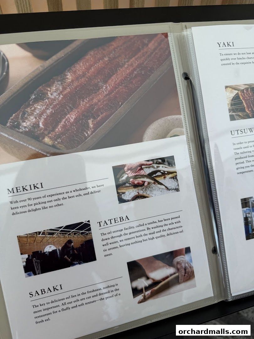 Unagi Yondaime Kikukawa Singapore うなぎ四代目菊川 シンガポール