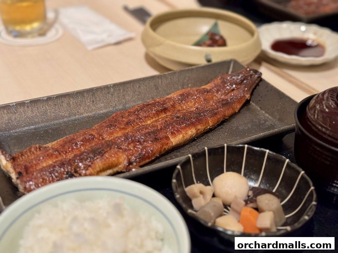 Unagi Yondaime Kikukawa Singapore うなぎ四代目菊川 シンガポール