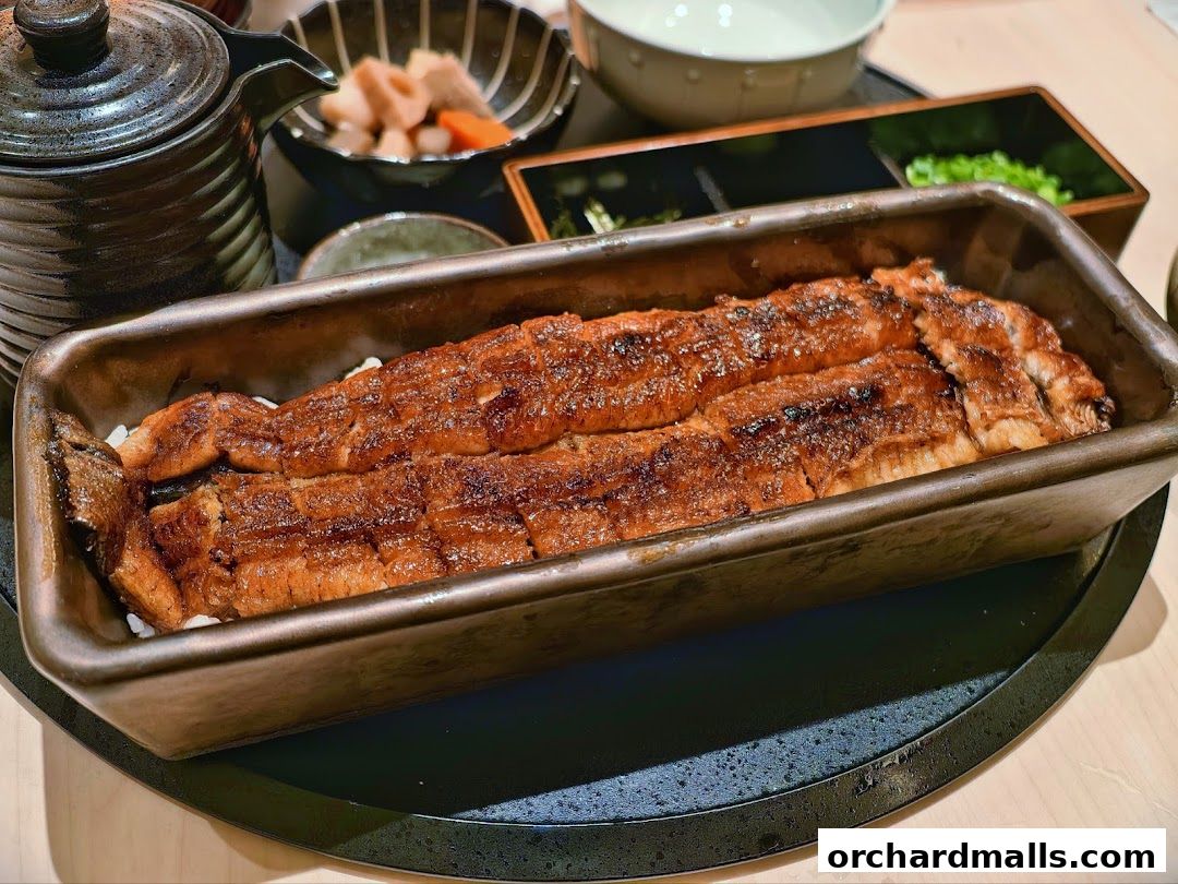 Unagi Yondaime Kikukawa Singapore うなぎ四代目菊川 シンガポール