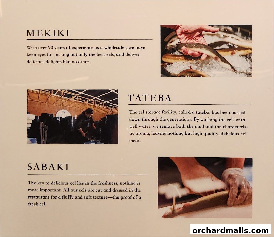 Unagi Yondaime Kikukawa Singapore うなぎ四代目菊川 シンガポール