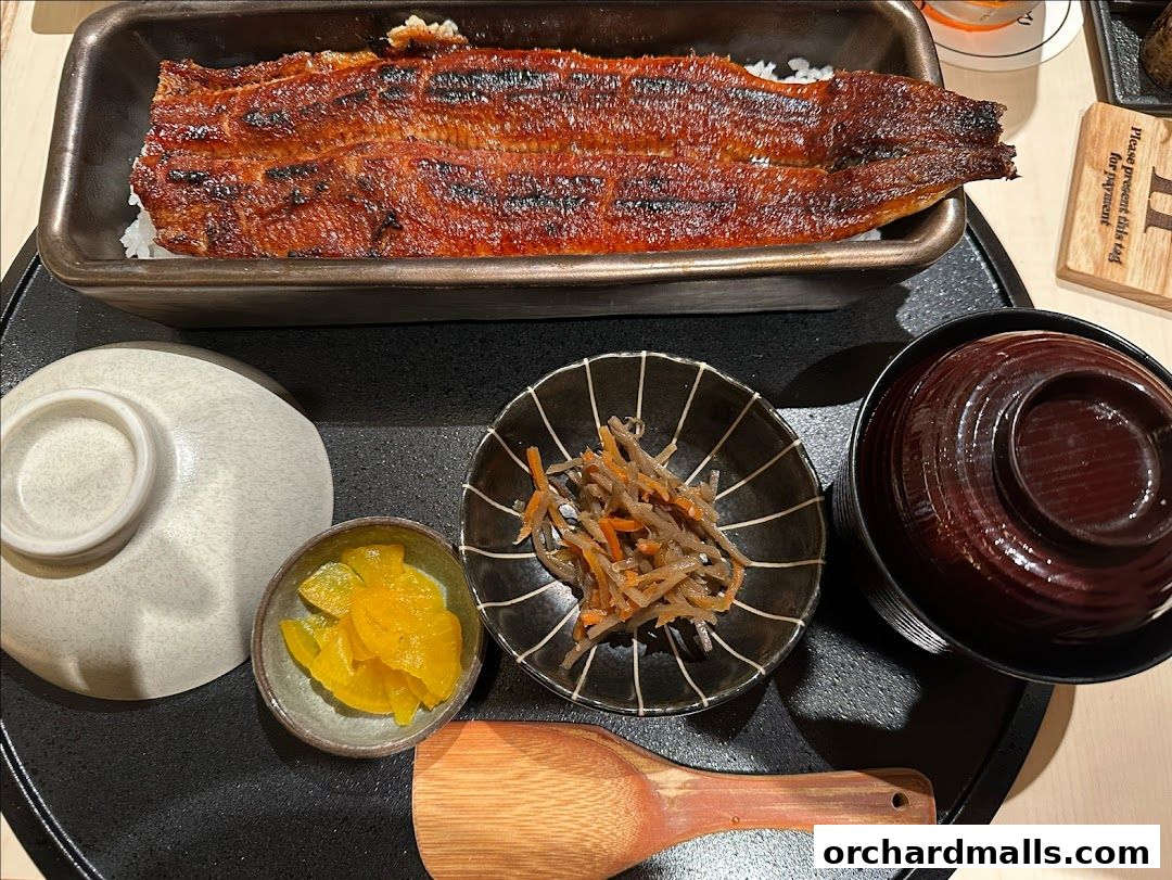 Unagi Yondaime Kikukawa Singapore うなぎ四代目菊川 シンガポール