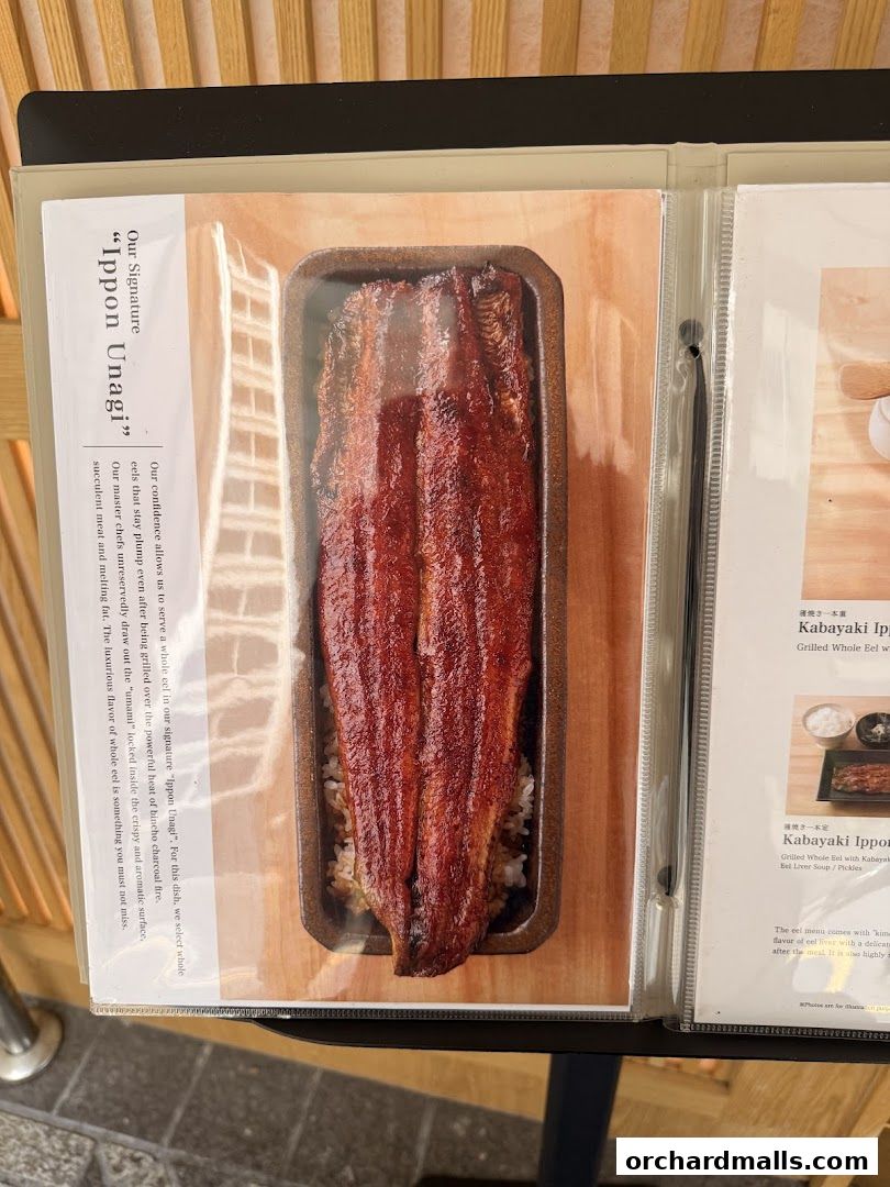 Menu page for Unagi Yondaime Kikukawa Singapore うなぎ四代目菊川 シンガポール