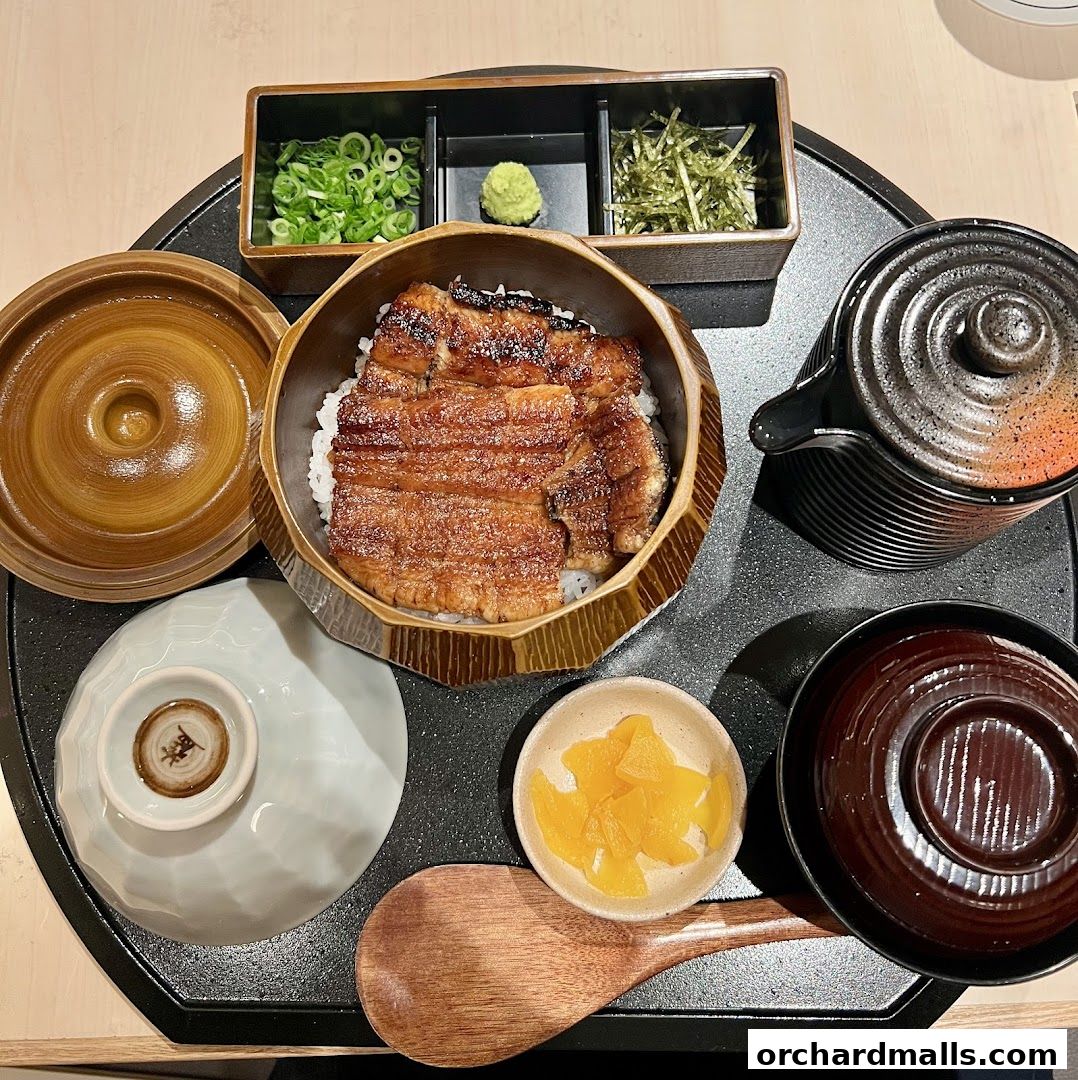 Unagi Yondaime Kikukawa Singapore うなぎ四代目菊川 シンガポール