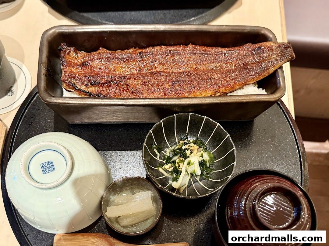Unagi Yondaime Kikukawa Singapore うなぎ四代目菊川 シンガポール
