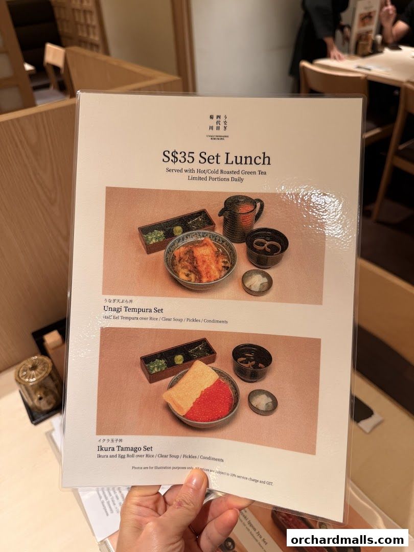 Unagi Yondaime Kikukawa Singapore うなぎ四代目菊川 シンガポール