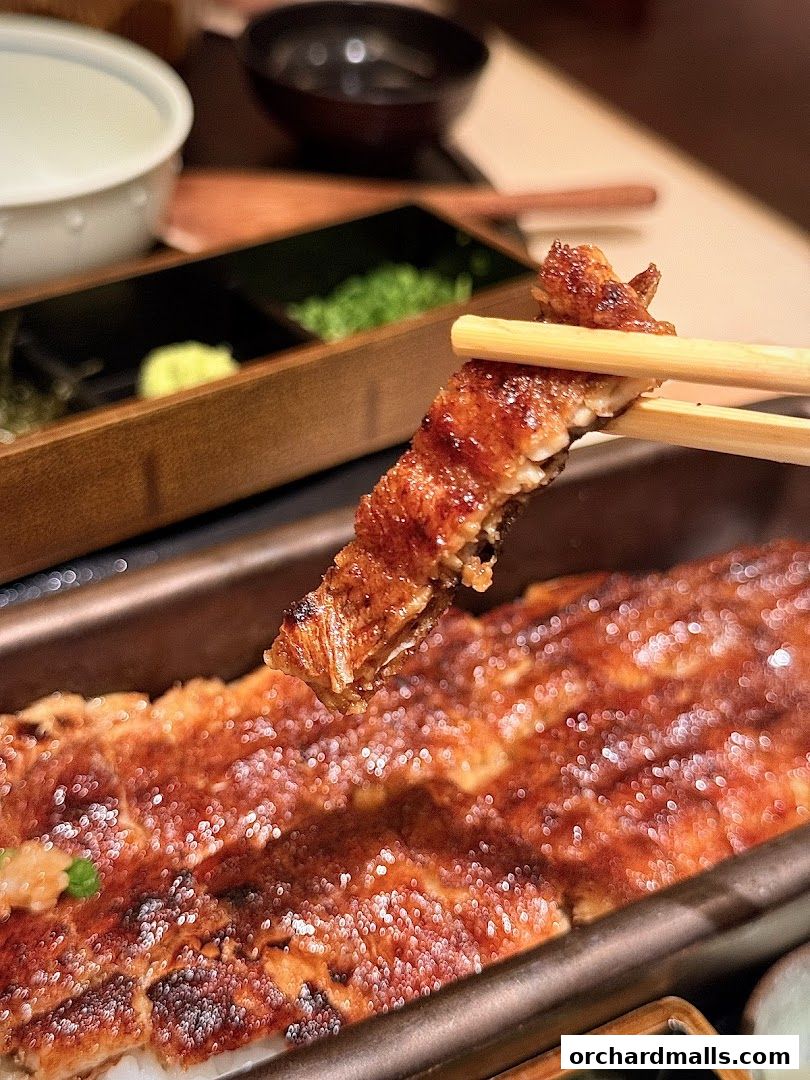 Unagi Yondaime Kikukawa Singapore うなぎ四代目菊川 シンガポール