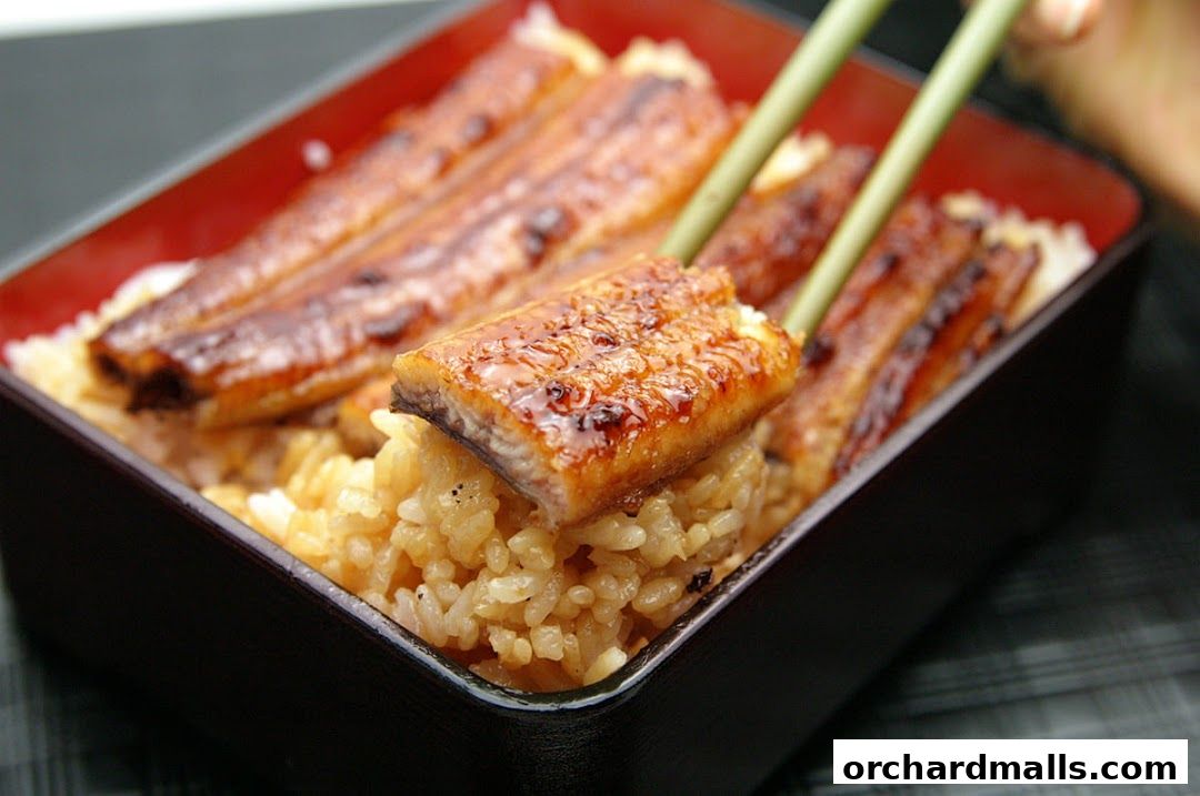 A close-up of a delicious Unagi Donburi, with grilled eel over rice.