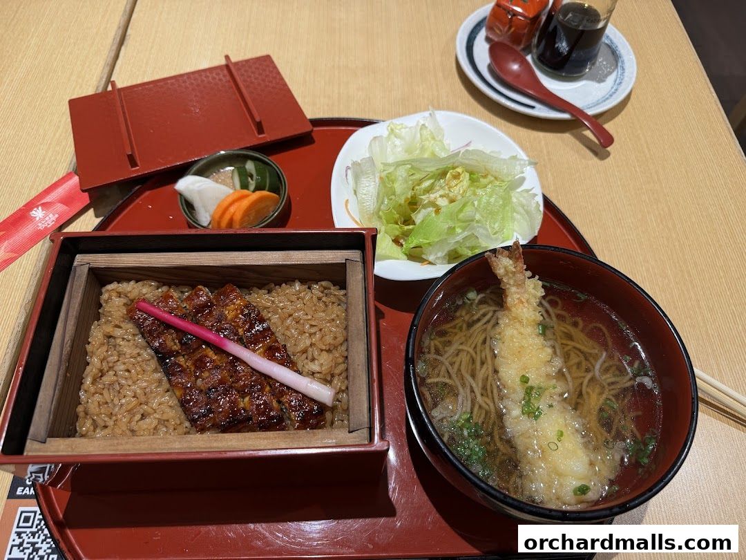 A delicious Unazen meal featuring grilled eel over rice, tempura soba, and a side salad.