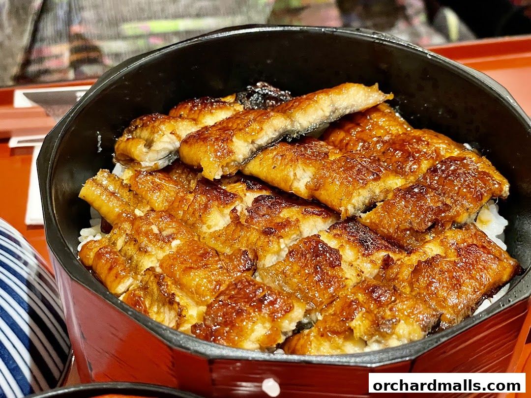 A close-up of a delicious bowl of grilled eel over rice, a Japanese delicacy.