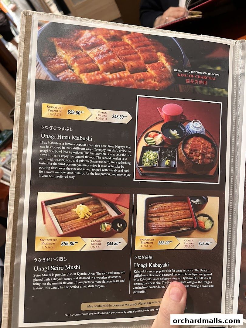 A menu page showcasing various unagi dishes with prices and descriptions.