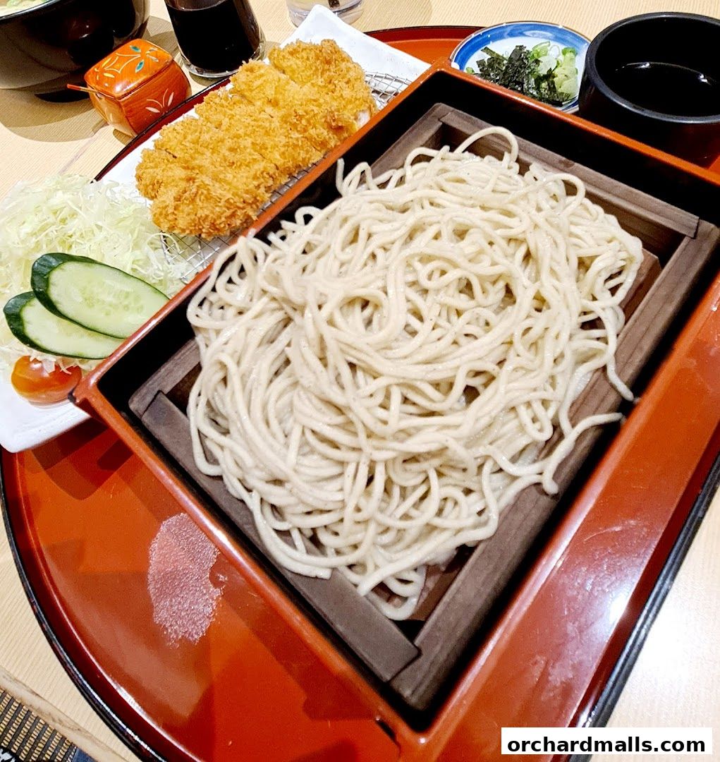 A close-up of a Japanese meal featuring soba noodles, katsu, and salad.