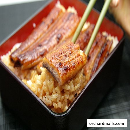 A close-up of a delicious unagi donburi dish with grilled eel over rice.
