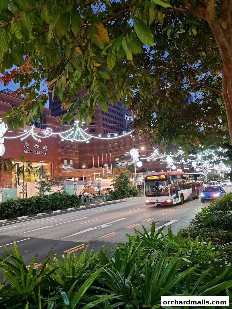 A street scene at dusk with a bus and cars, illuminated by festive lights.