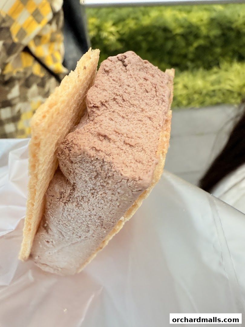 A close-up of a traditional wafer ice cream sandwich with chocolate and vanilla flavors.