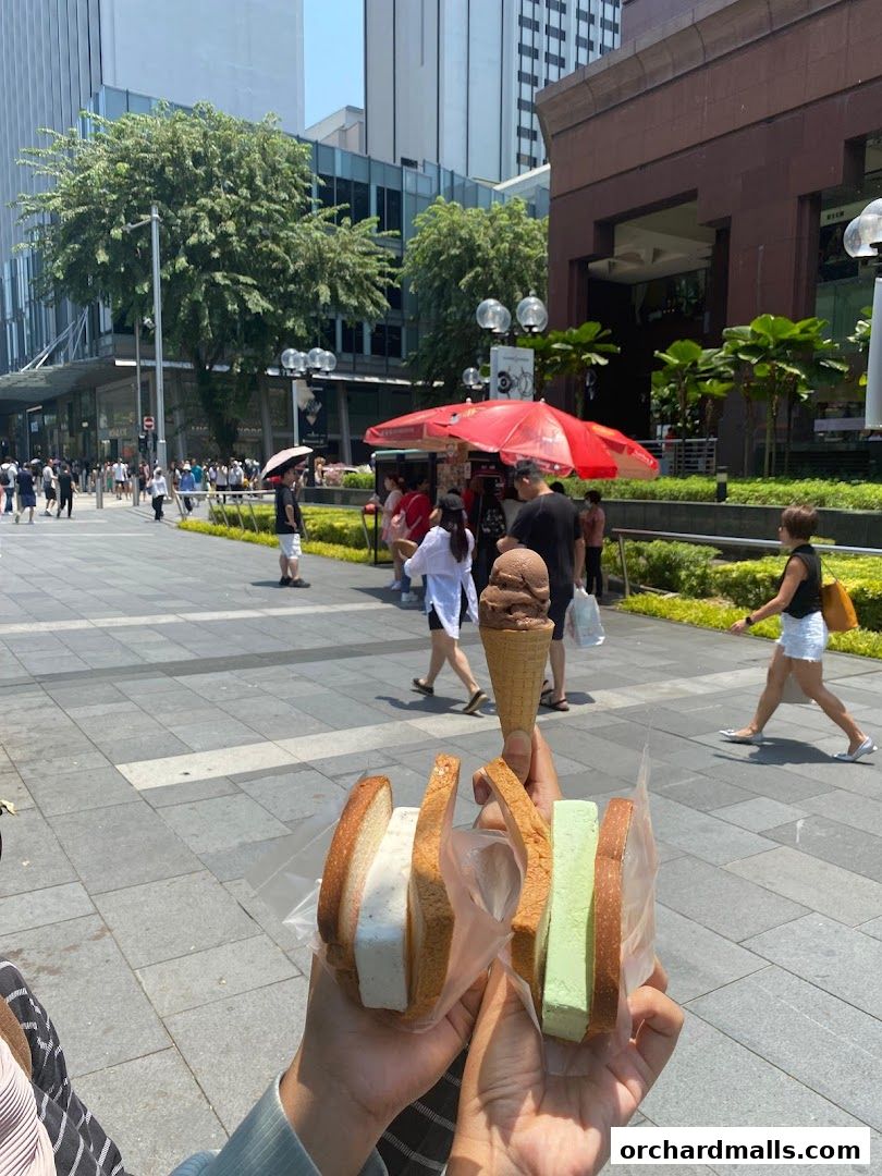 People holding traditional wafer ice cream sandwiches and cones on a sunny day.