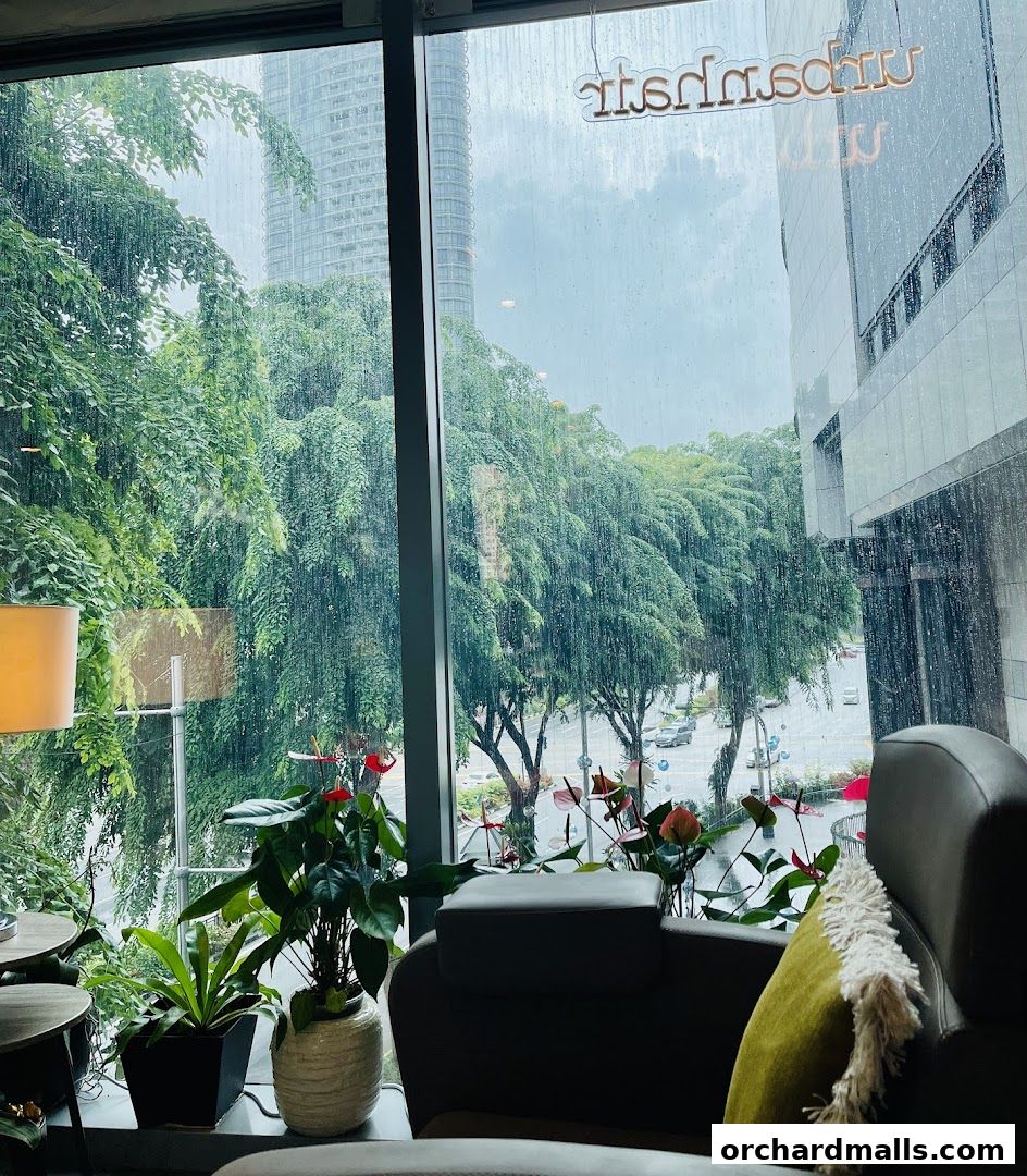 Urbanhair by Ginrich