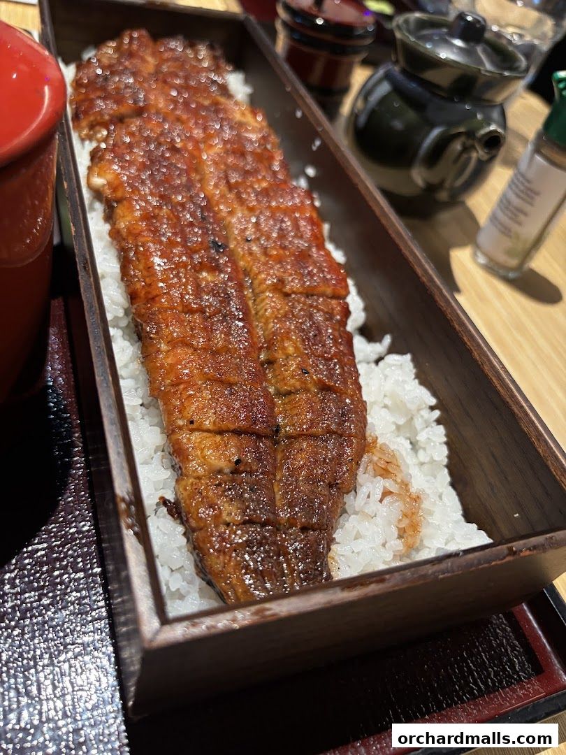 A close-up of a delicious Unagi Donburi served in a traditional wooden box.