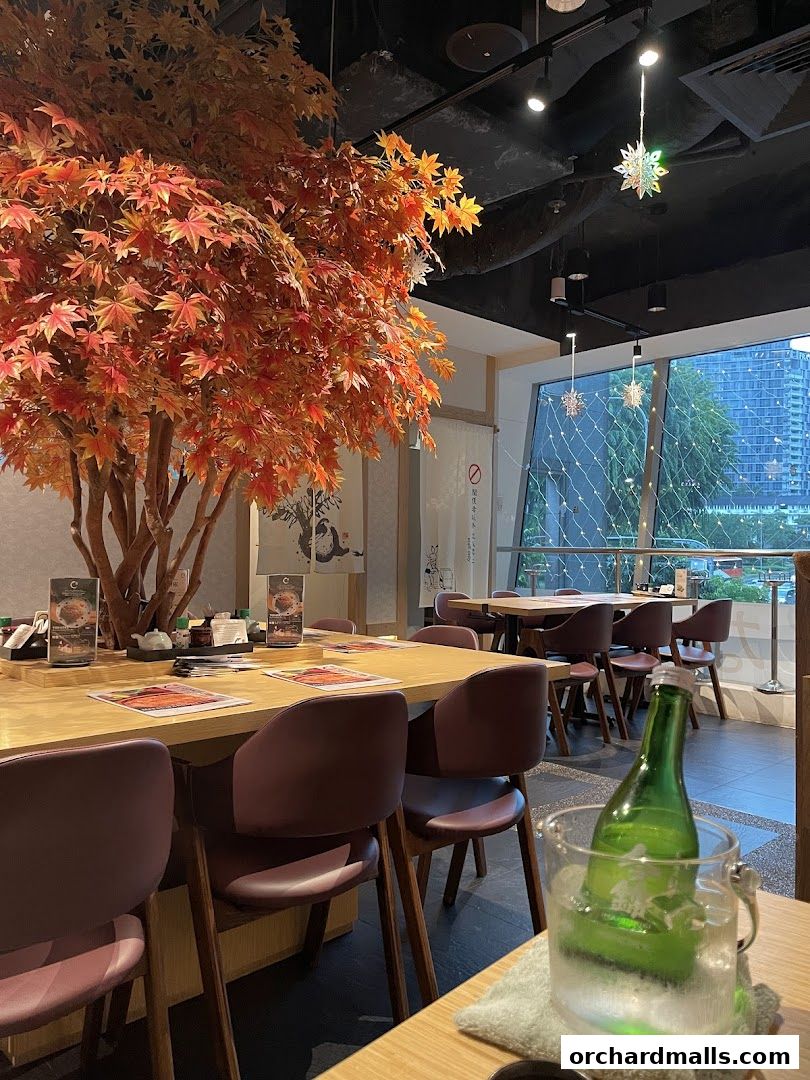 Interior of a Japanese restaurant with a decorative tree and dining tables.