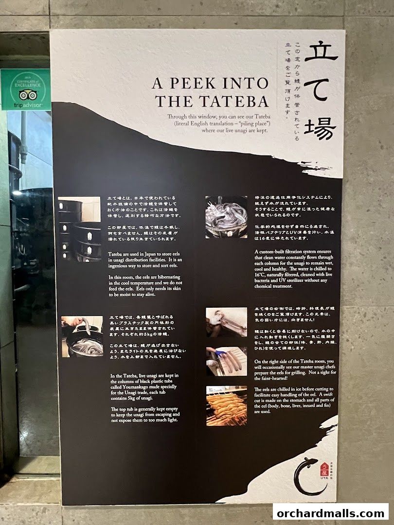 A sign explaining the 'Tateba' process for storing live unagi at UYA Unagi Singapore.
