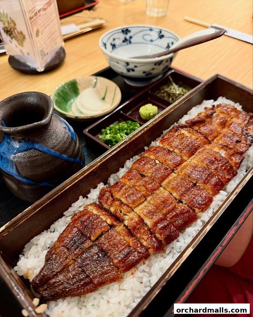 A close-up of a delicious unagi donburi served with rice and side dishes.