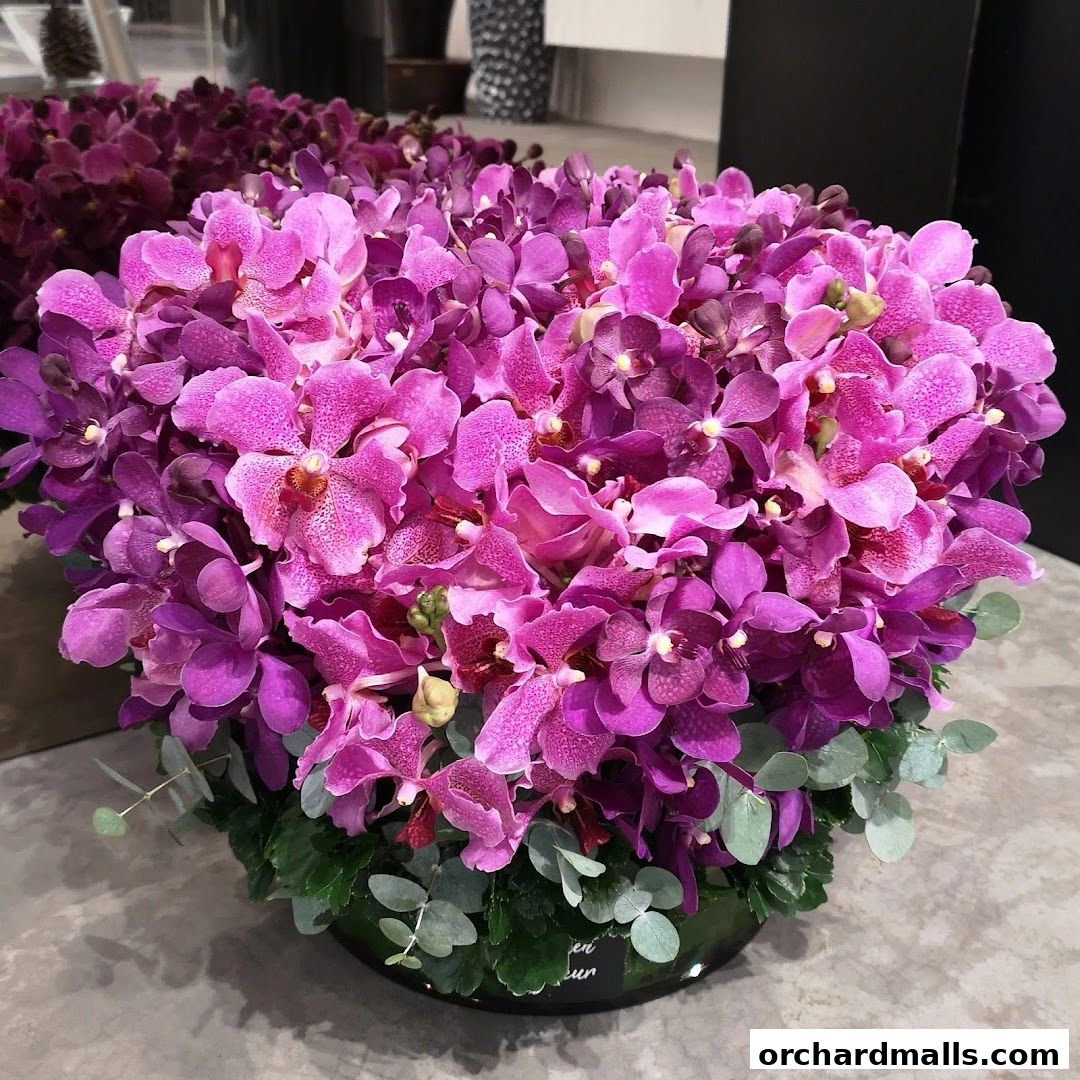 A vibrant arrangement of purple orchids in a dark pot with greenery.