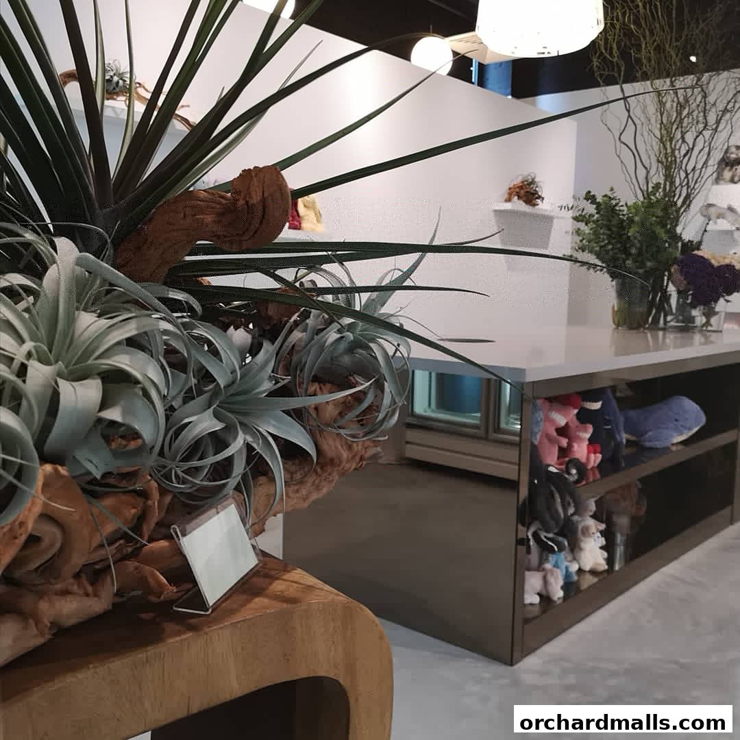 Interior view of Valen Fleur shop with plants and plush toys on display.