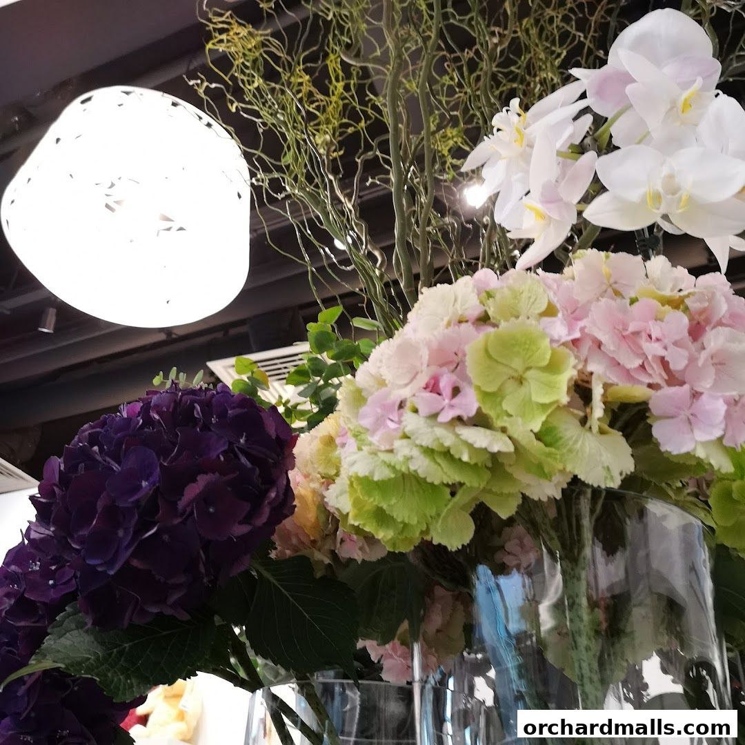 A close-up of a floral arrangement featuring hydrangeas and orchids in glass vases.