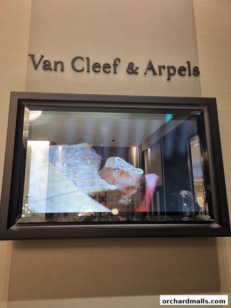 The Van Cleef & Arpels store sign above a display featuring jewelry and natural elements.