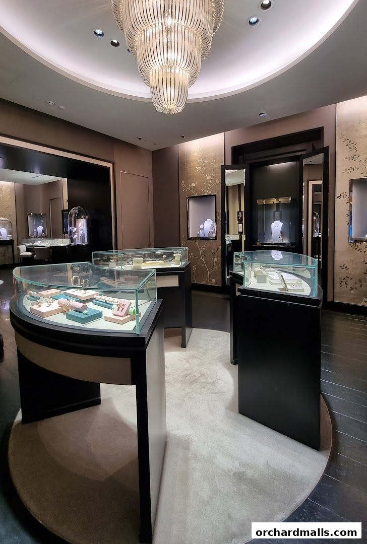 Interior view of a luxurious jewelry store with display cases and a chandelier.