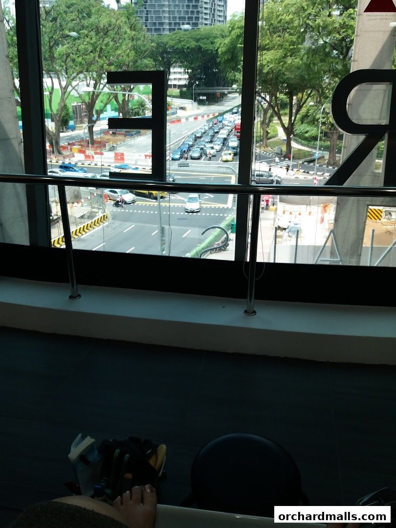 View from inside a building looking out at a busy street with traffic and trees.
