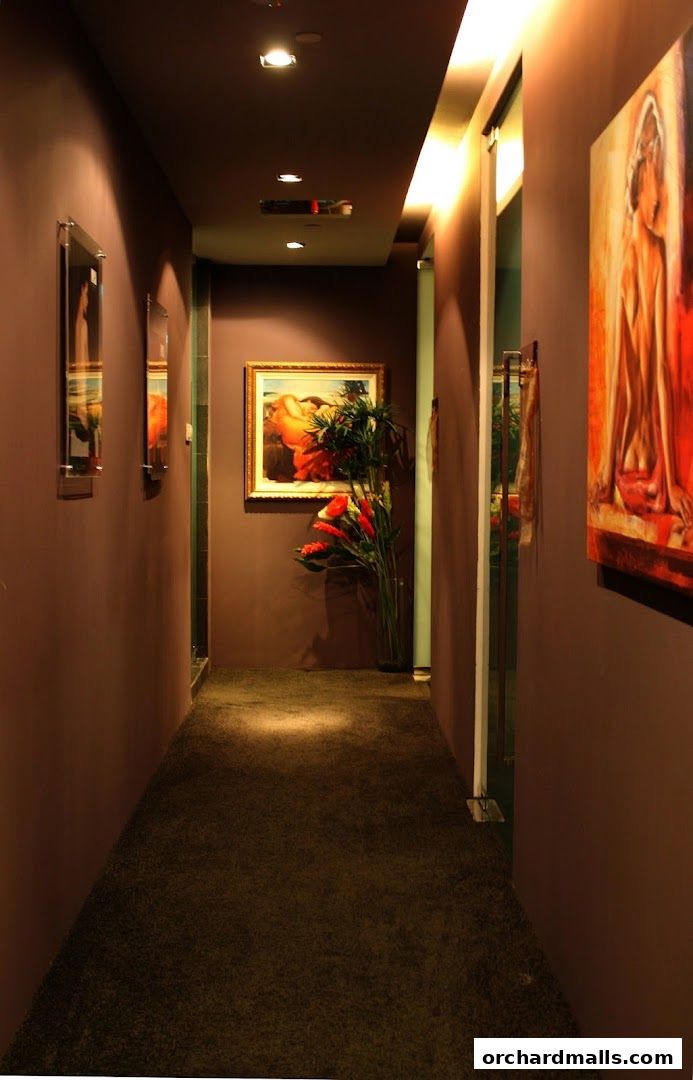 A dimly lit hallway with artwork and plants, leading to treatment rooms.