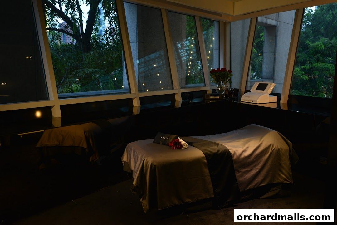 Interior of a medi-spa with massage beds and large windows overlooking trees.