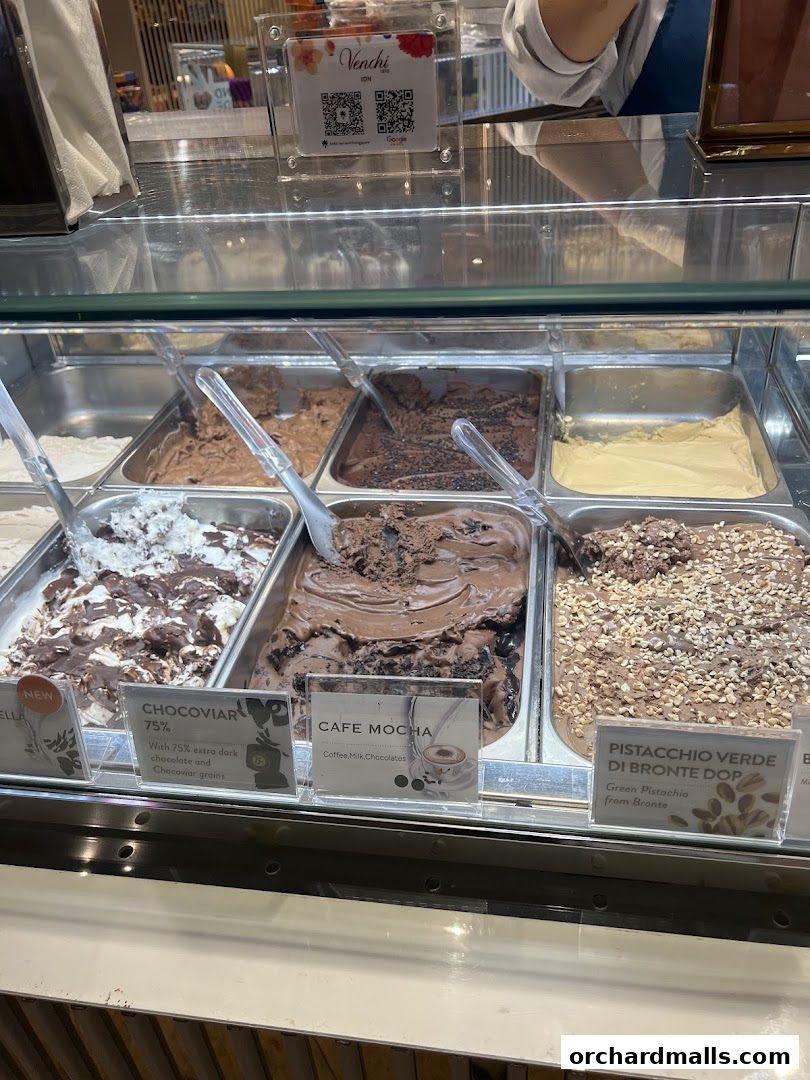 A display case filled with various flavors of gelato at Venchi Singapore ION Orchard.