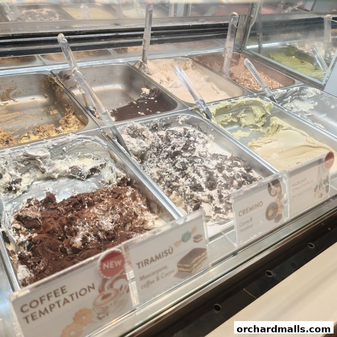 A display of various gelato flavors in metal containers with descriptive labels.