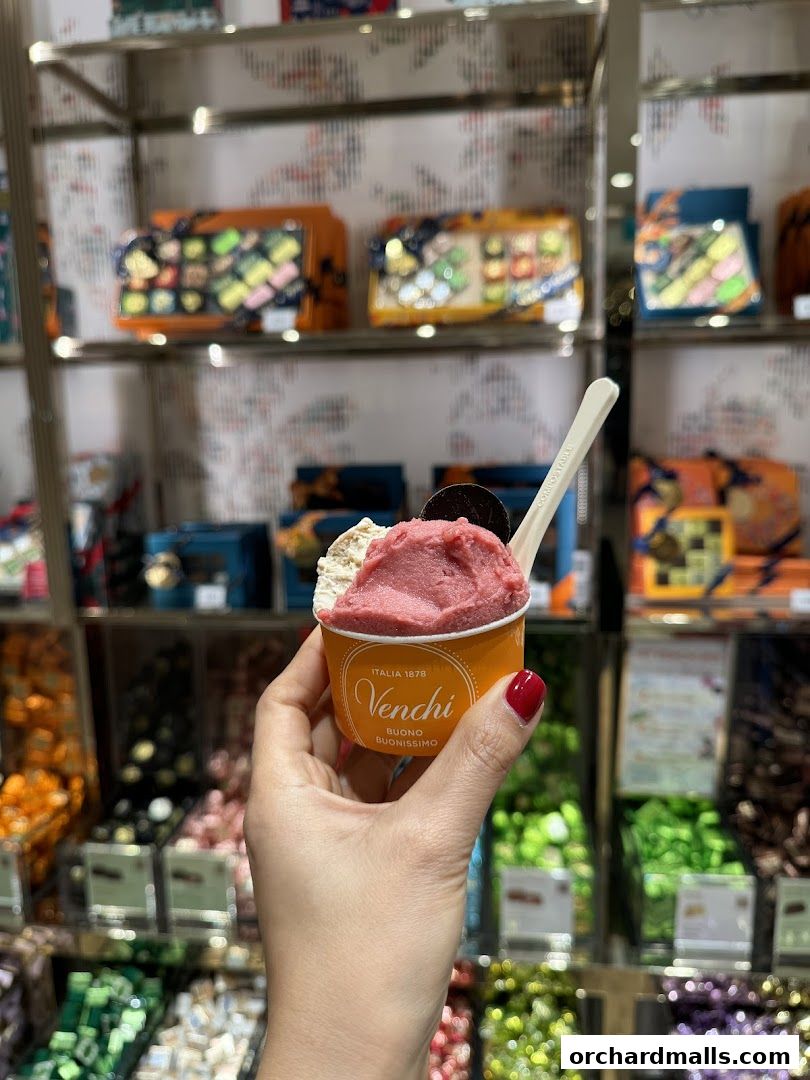 A hand holds a cup of Venchi gelato with colorful chocolates displayed in the background.