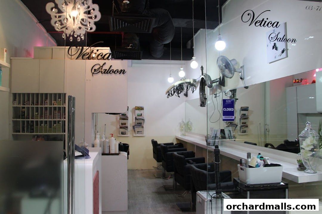 Interior view of Vetica Saloon, showcasing styling chairs, hair products, and a reception area.
