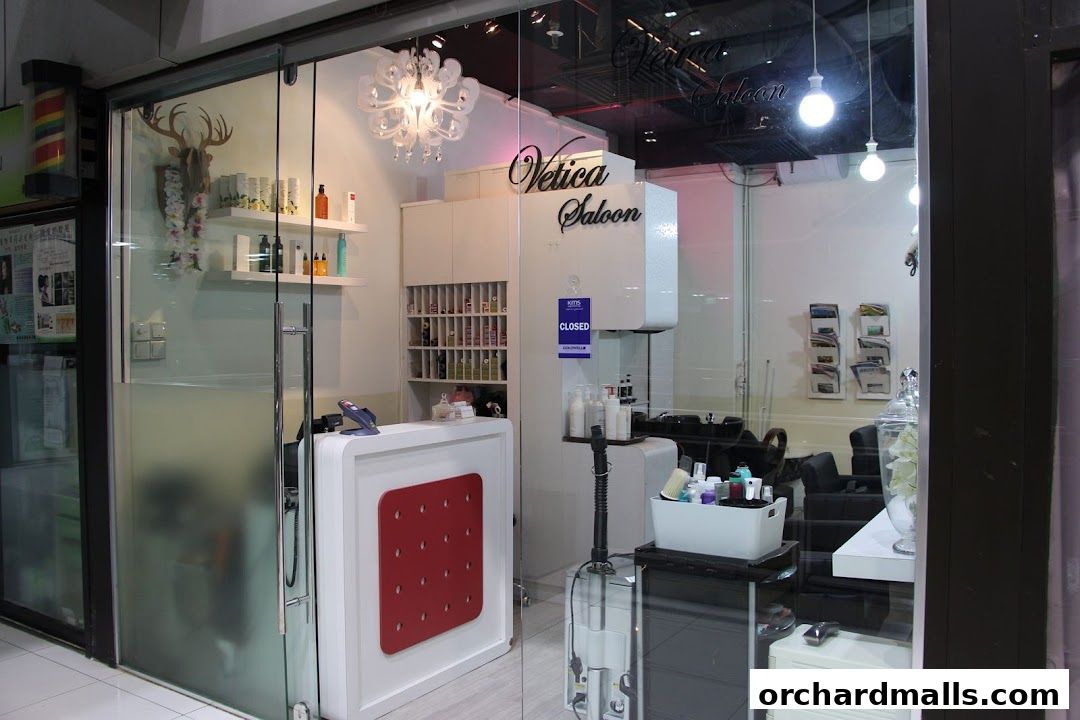 The entrance of Vetica Saloon, a hair salon with a modern reception desk and styling stations.