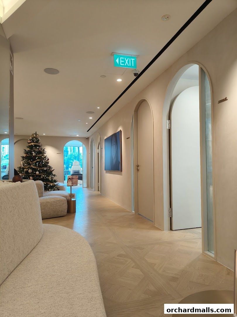 Interior hallway of a modern clinic with arched doorways, a Christmas tree, and comfortable seating.