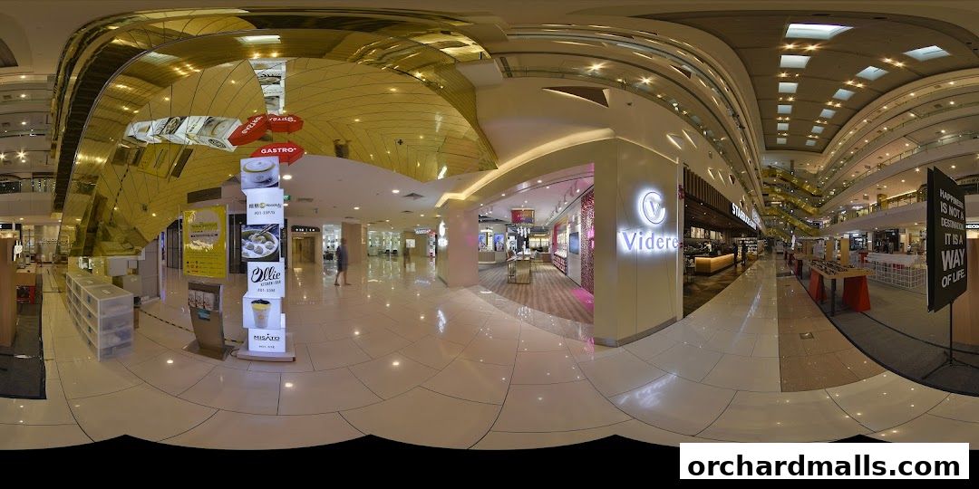 Videre Eyecare The Centrepoint