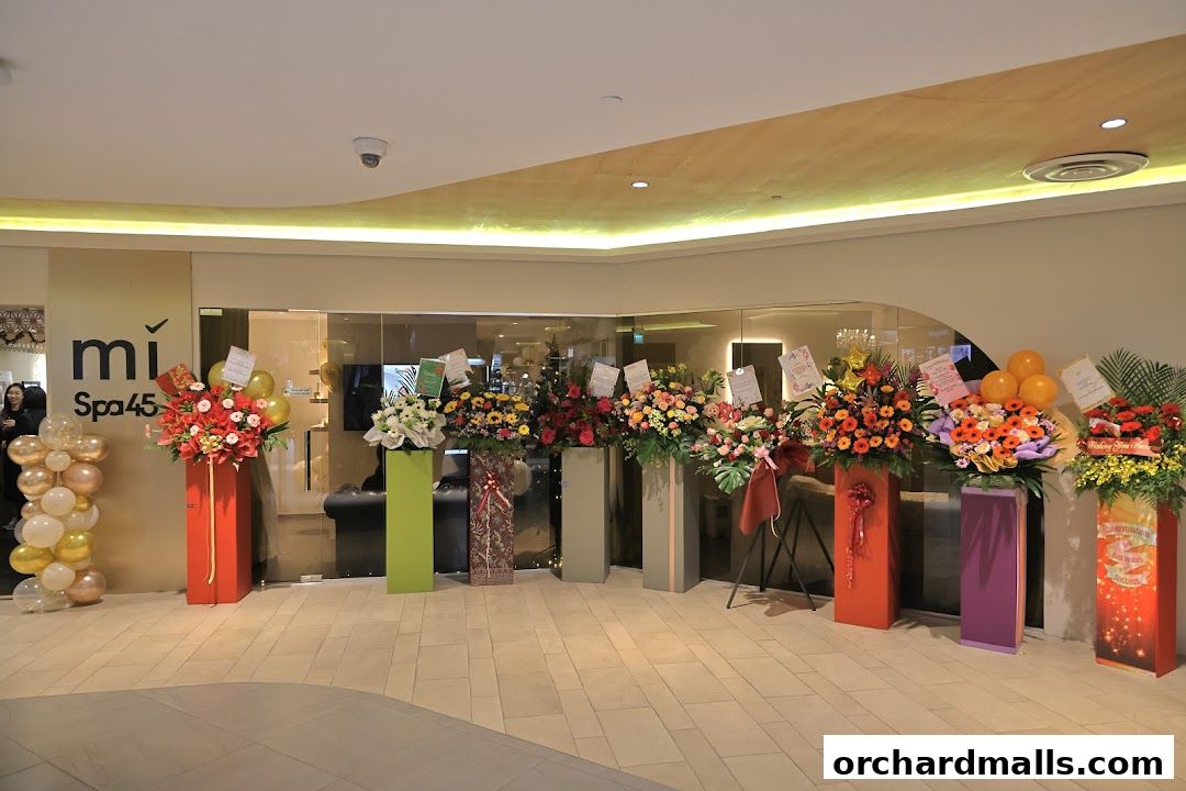 Vim Beauty - Facials  HIFU  Exosomes  Bojin  Guasha