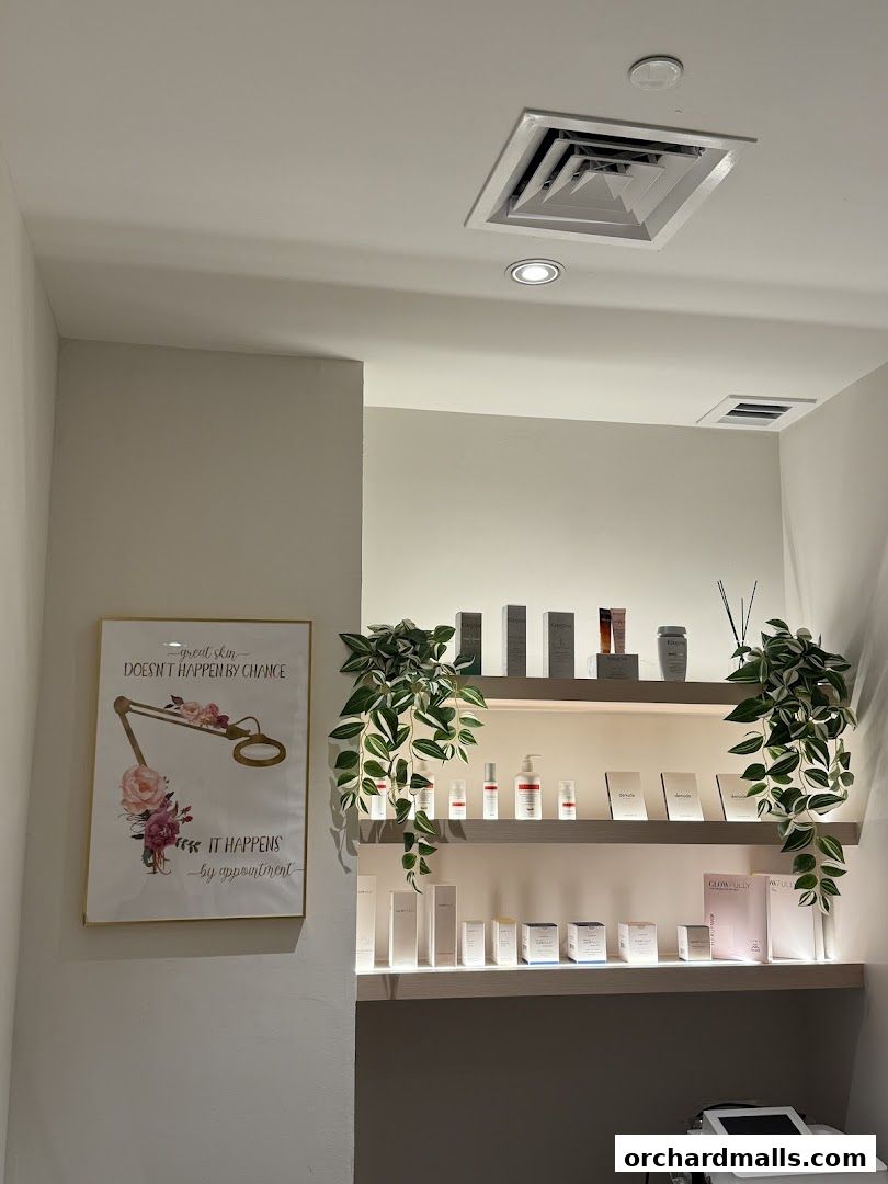 Vim Beauty - Facials  HIFU  Exosomes  Bojin  Guasha