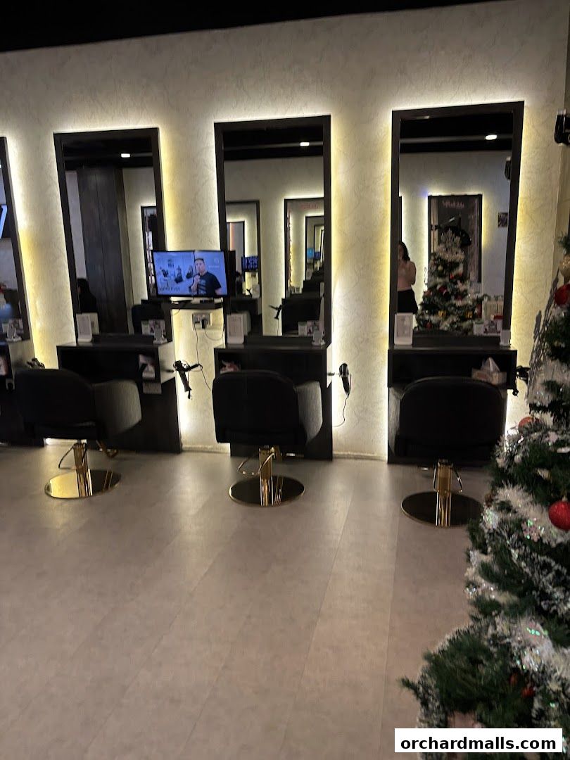 Vintage Studio VS Salon - 313Somerset