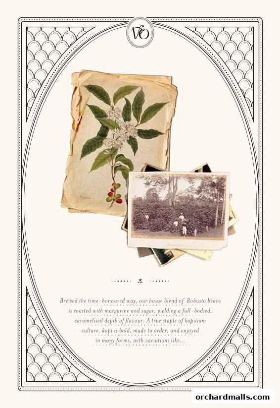 Vintage botanical illustration of coffee plant and historical photos.